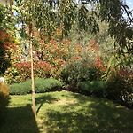 Location Vacances Nice - Villa 5* Nice St Pancrace