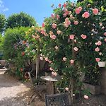 Nice Garden Hotel