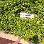 Studio- Nice Mont Boron, Piscine Sur La Residence