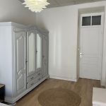 Beautiful Spacious Air Conditioned Apartment - Center
