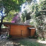 Chalet Au Centre De Nice