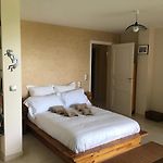 Villa Matisse Nice