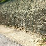 Maison Et Jardin Sur Les Hauteurs De Nice