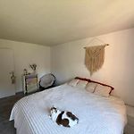 Appartement 3 Pieces Au Calme Nice La Costiere