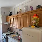 Nice Center Aviva\'S-Home