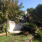 La Nectarine