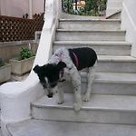 Villa Saphir