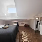Apartment Cocoon Loft - Magnifique Loft Sous Toit, Refait A Neuf, Vues Splendides, Clim, Wifi Nice