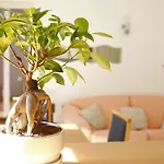 Apartments Matisse