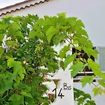 Villa Dana Paradise House Nice