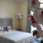 Cozy Studio With A Sea View