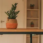 Apartment Parc Ferber - Studio, Rez-de-jardin, Proche Mer, Carras *