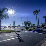 Maccarani
