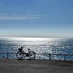 Sunny Cocoon - Nice