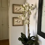 Apartment Magnifique 2 Pieces De 65m2 -quartier Des Musiciens Nice