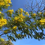 2 Pieces Hyper Centre