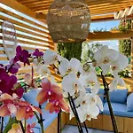 Escondida Bed & Breakfast Nice