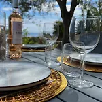 La Coulina Villa Nice