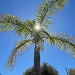 Villa Syagrus - Easy Nice