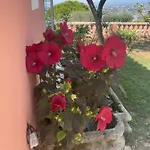 D'hotes Duplex Le Petit Mas Nicois De La Rose