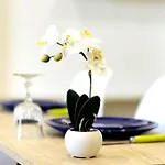 Le Raphael - A 10 Min De La - Wifi Et Climatisation Apartment