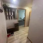 Parallel Circus