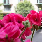 Apartment Beautiful , 3 Min Walk , Free Parking, Near Negresco Nice