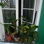 Petit Appart Atypique