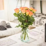 Le Chateau 4 Pers Ac Wifi Vecchia Nizza