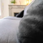 Nice Centre Studio Avec Balcon