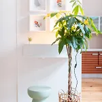 Apartment Duplex Au Coeur Du Vieux *