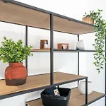 Le Calme A Nissa La Bella