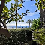 Garden Atlantide Promenade Nice