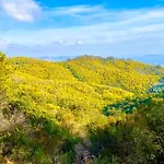 Studio Promenade Des Anglais