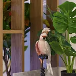 Nice Renting - Fodere - Charm & Comfort 2P Heart Of Nice - Ac & Wifi