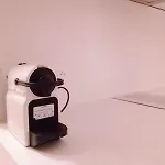 Flamingo Nice