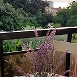 Appartement Confortable A Nice 25 M² Avec Piscine Partagee