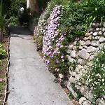 Bed & Breakfast Castel Enchante