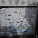 Les Palmiers A 700M De La Mer