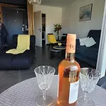 Pretty Flat, 100m Promenade In City Center * Nice