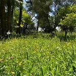 Maison De Charme Dans Les Collines Nicoises