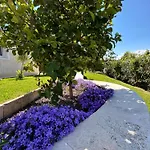 Duplex Oliveraie Piscine Au Sel Marin Et Parking * Nice