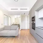 Bright, Newly Renovated Apartment Nice