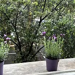 Studio 2 Steps From The Sea Near The Negresco Hotel