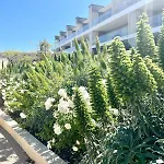 Panoramic Sea View Blue Pearl Apartment *