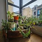 Apartment T2 A La Liberation,