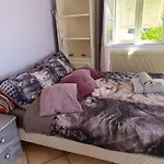 Double Room With Great View