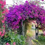 Studio Dans Villa A Nice Ouest