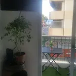 Vue 28m2 200m De La Nice