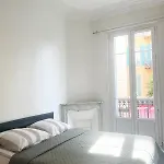 Spacieux Appartement Climatise Centre Nice